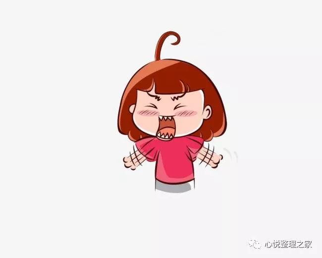 高级整理收纳师整理过程,整理师如何收纳玩具