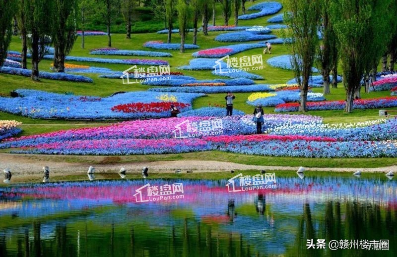 美的君兰学府赣州航拍,赣州美的君兰学府周围规划