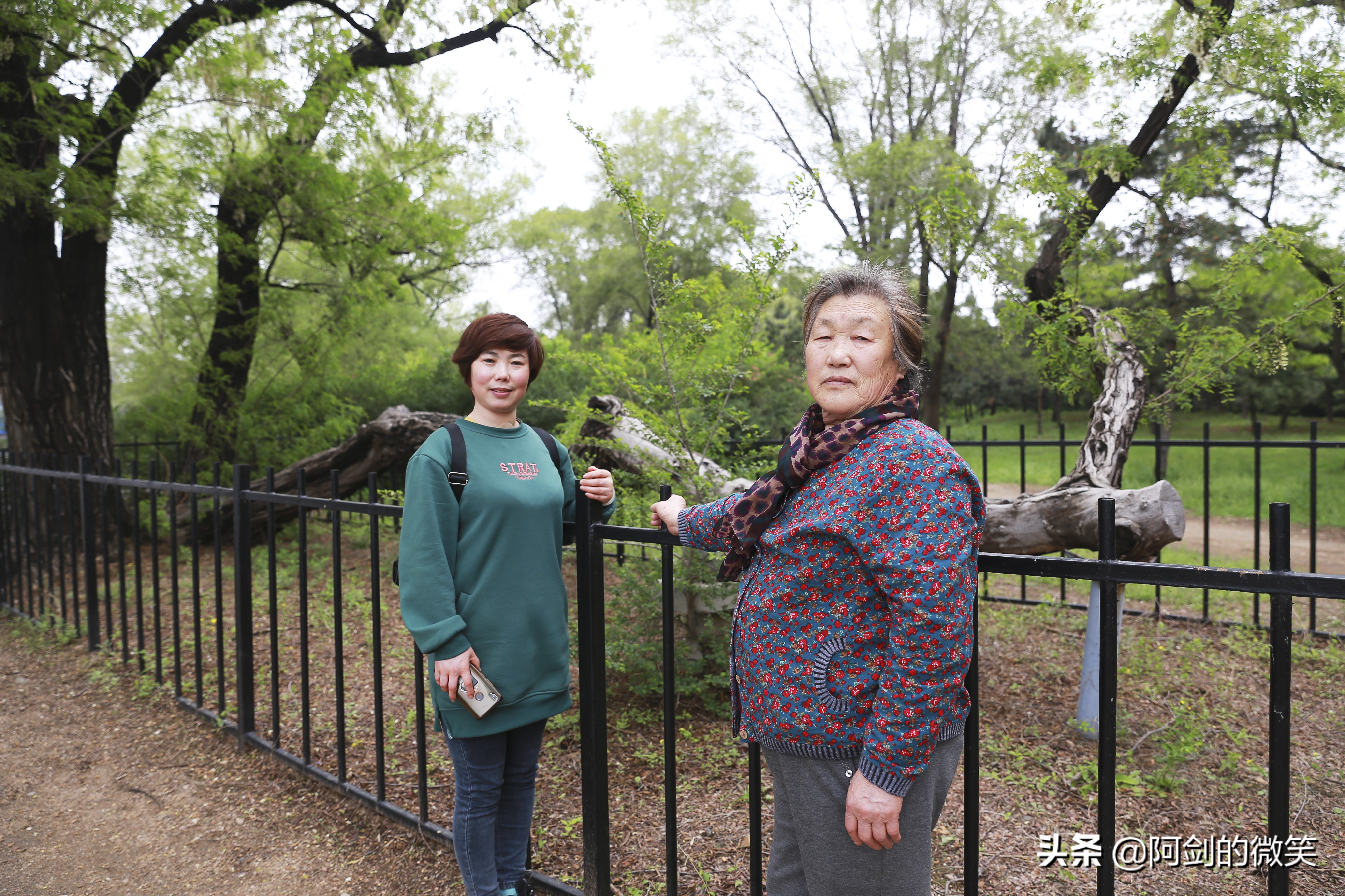 沈阳北陵公园旅游团,今天的沈阳北陵公园