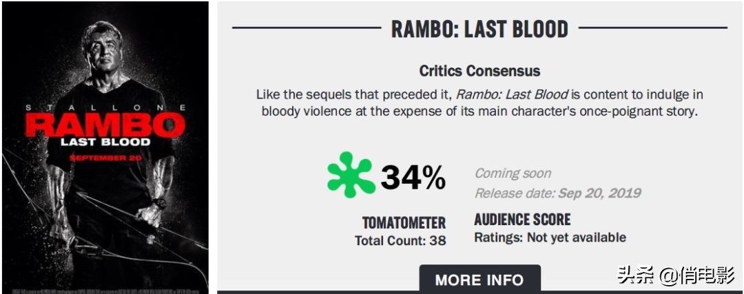 史泰龙十大巅峰神作,史泰龙硬汉风格大作