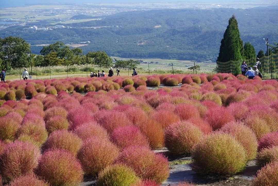 名古屋附近值得去的地方,名古屋附近有好玩的地方吗