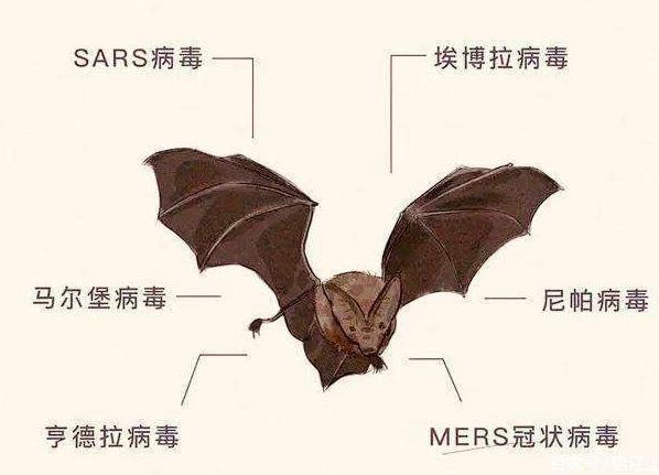 体温在37.6左右退不下来,体温在37度2是怎么回事