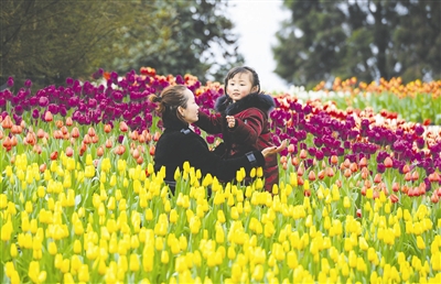 成都市的赏花景区有哪些,成都这个季节什么花最好卖