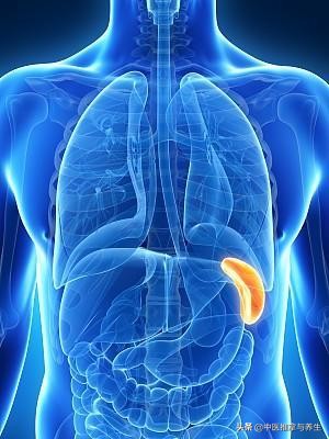 针灸祛痘去哪里做,针灸如何祛痘