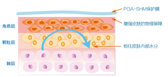 华熙生物两项原料产品荣获2020荣格技术创新奖
