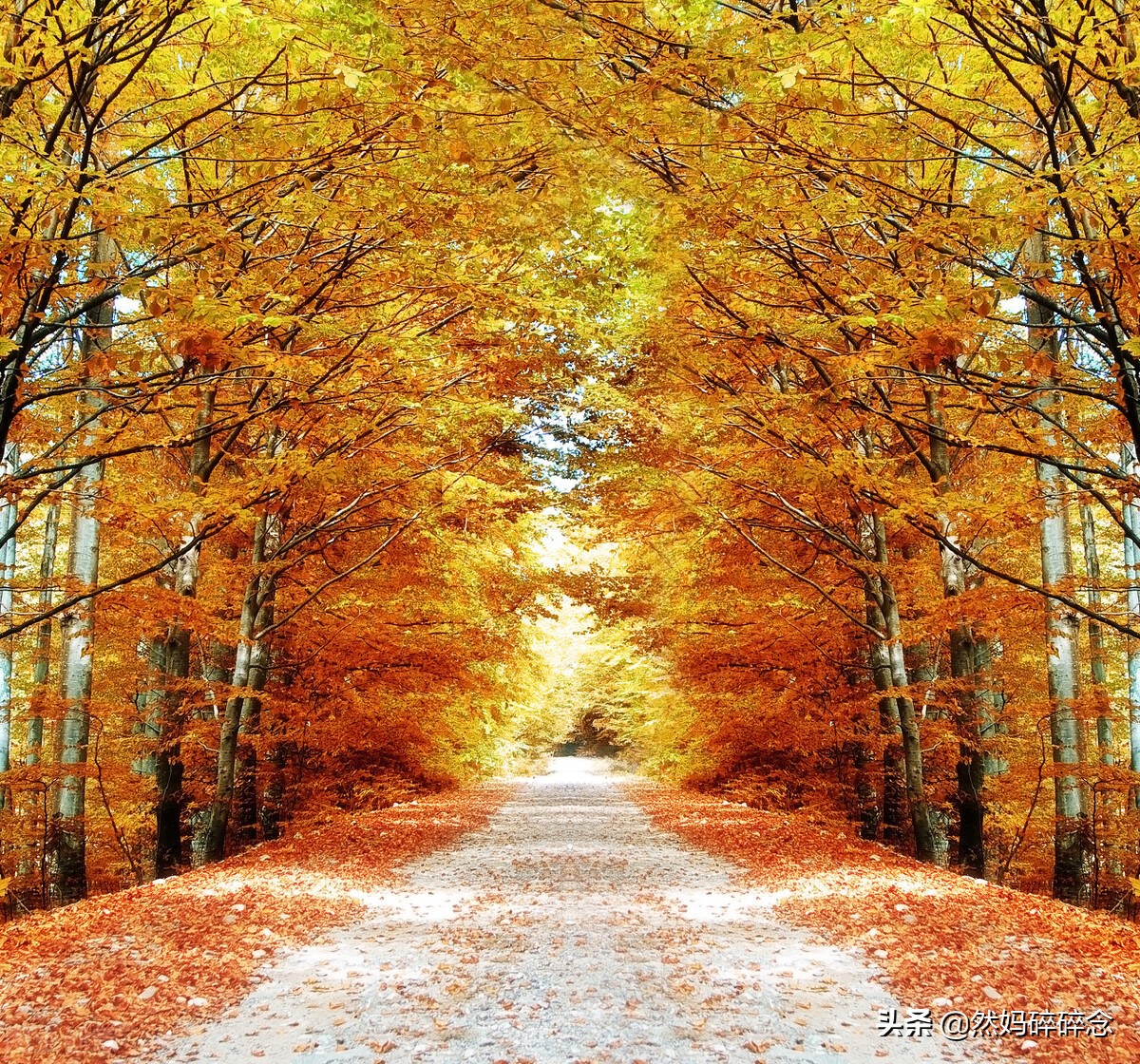 秋季煲什么汤老少都合适喝的,秋季宝宝喝什么汤比较好