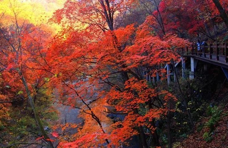 沈阳冬季一日游最佳去处,沈阳本溪自驾看枫叶去哪里