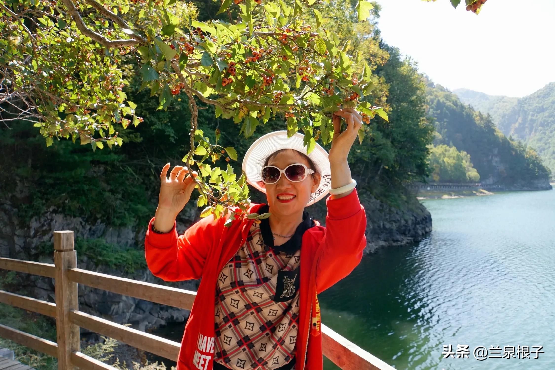 秋日之旅旅游攻略,秋日自驾游视频