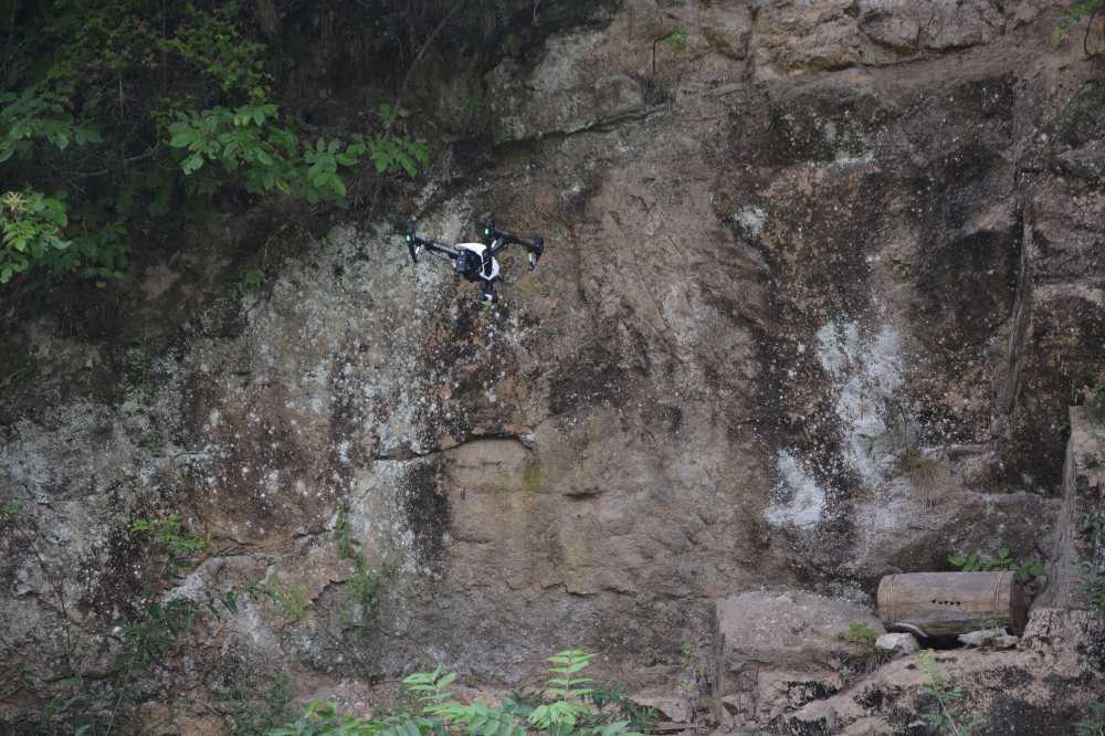 野蜂的口粮极为珍稀,一年等一次,再危险我们也要去“盗”一些!