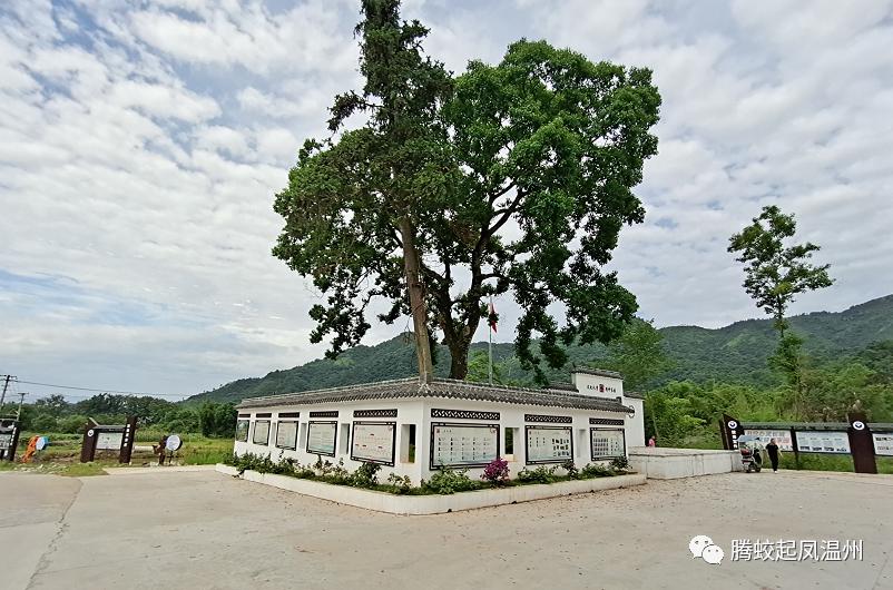 腾蛟镇发展,腾蛟凤巢社区