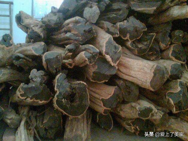 非洲黑檀木鉴别，你学到了吗？