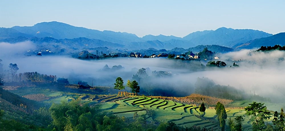雅安雨城一年下雨多少天,雨城雅安一年下多少天雨