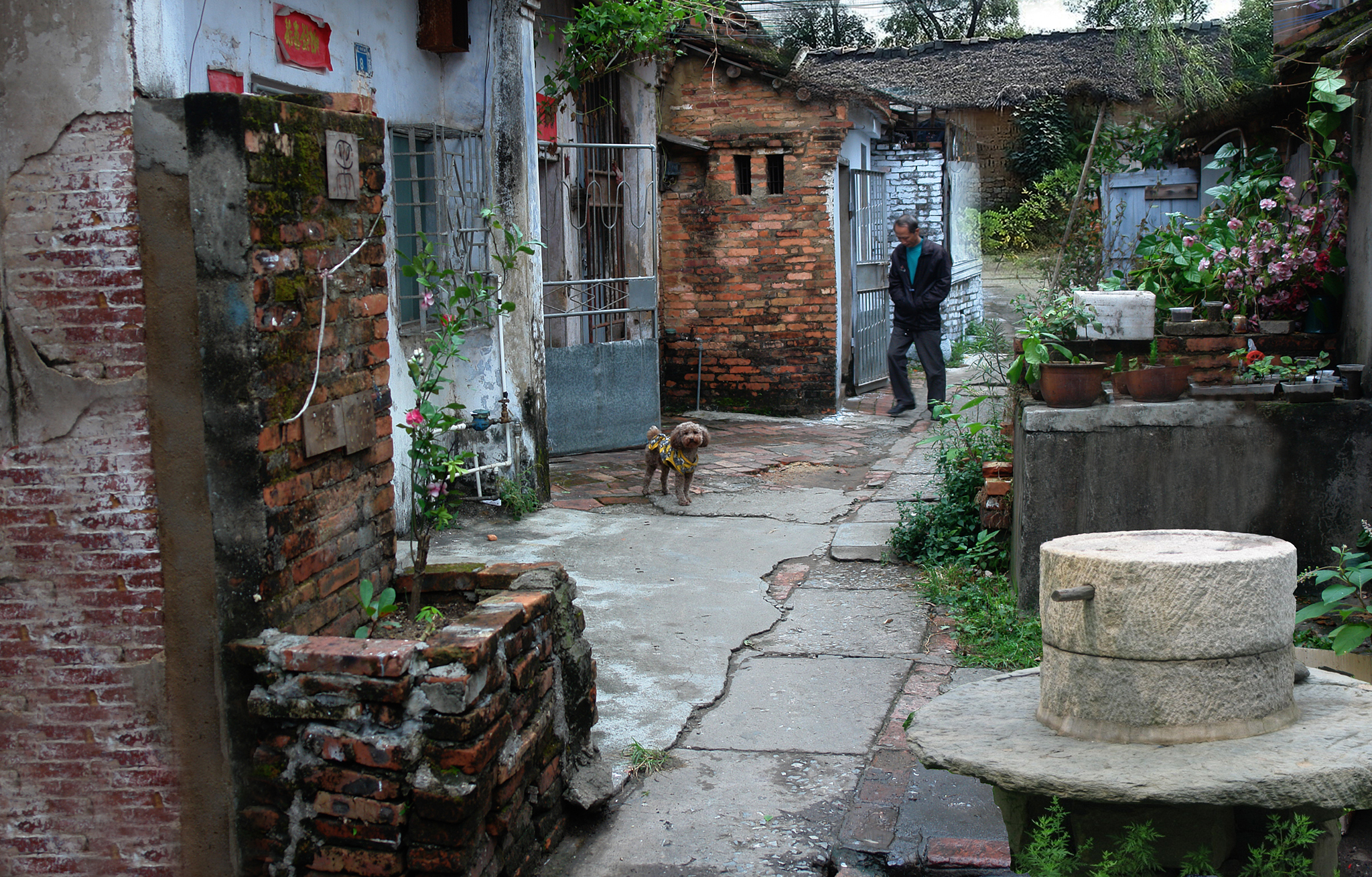 赤坎百艺村往事文章湾中村的记忆