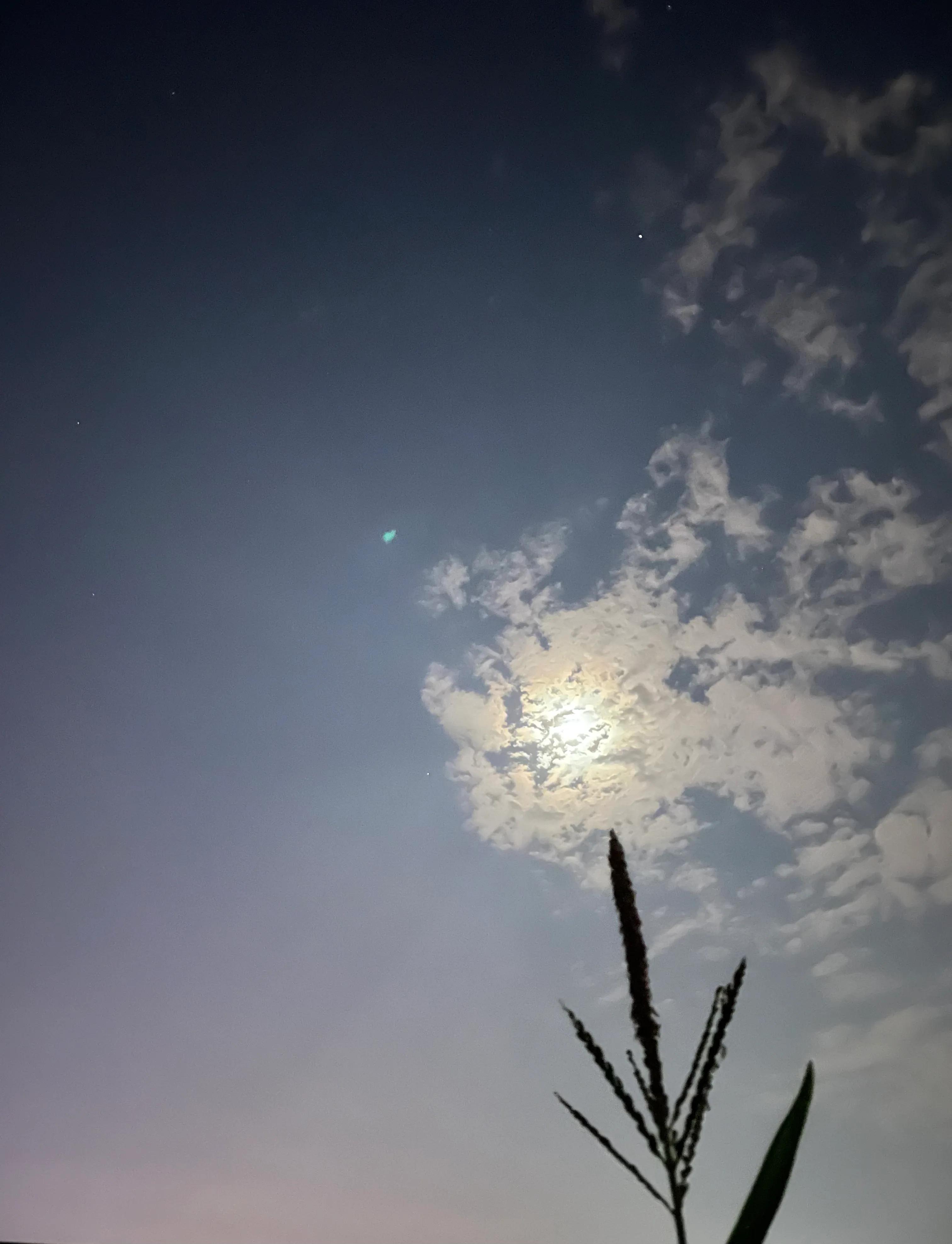 重庆大坪旅游街区推荐,重庆大坪周边游玩攻略