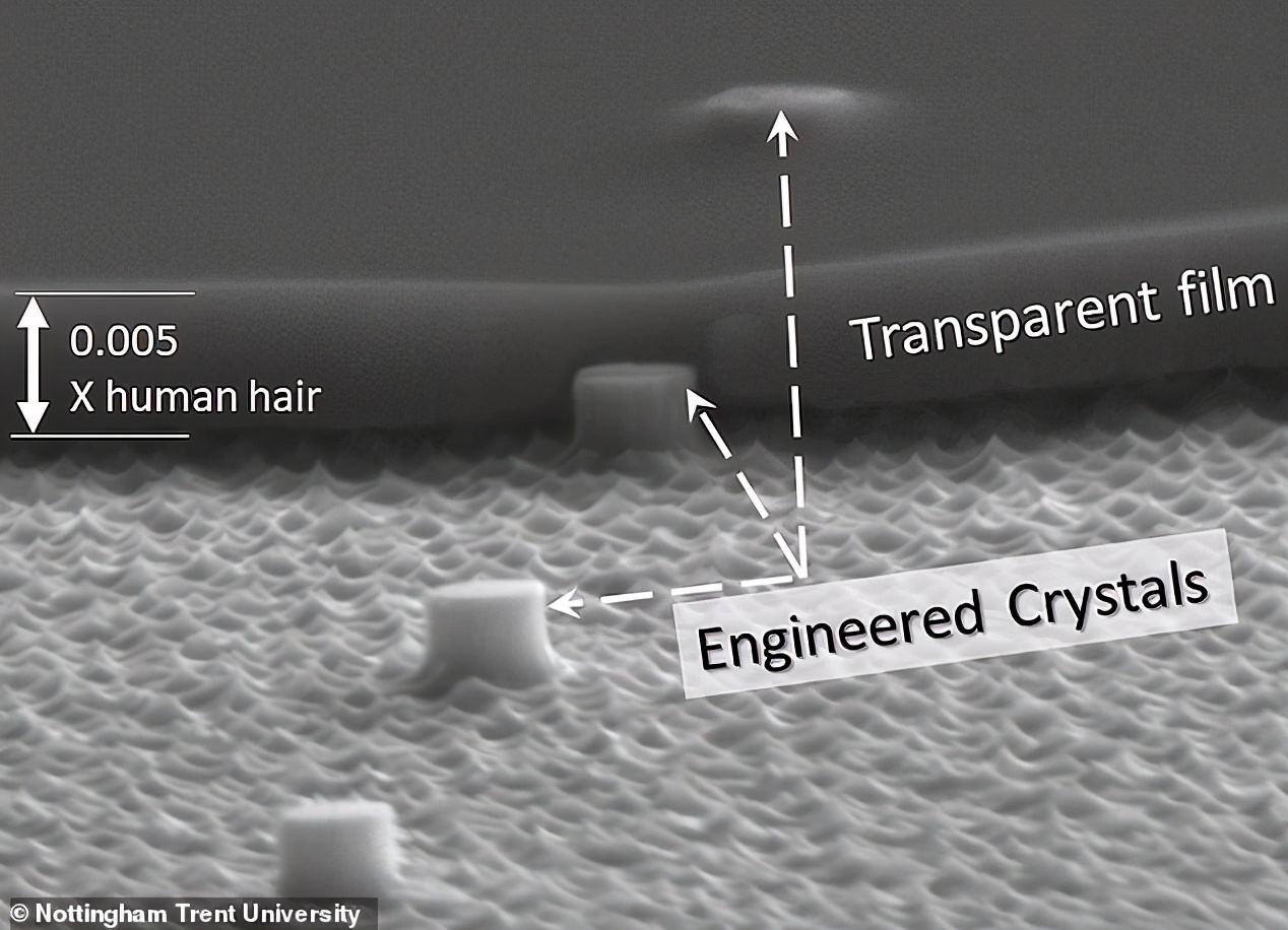 眼睛植入人工晶体后的视野,眼睛植入芯片可永久摆脱近视