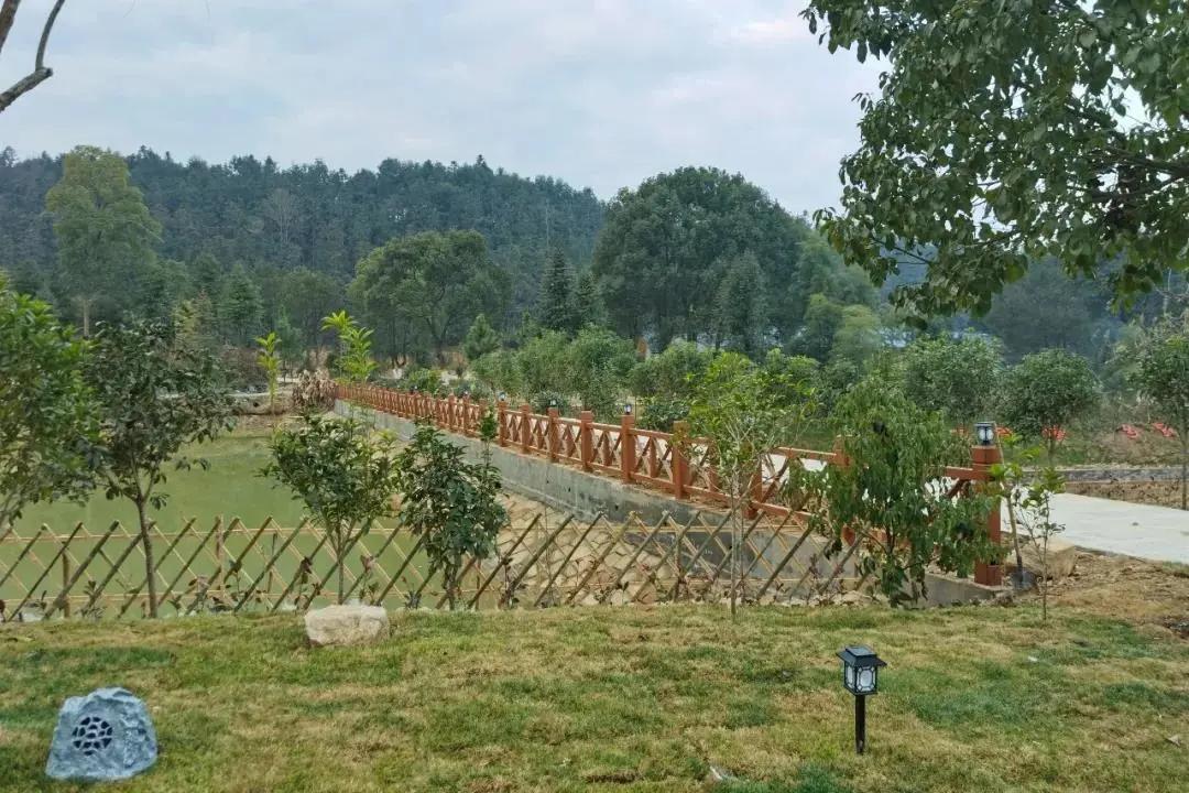 峡江旅游景点推荐一下,峡江县网红打卡地点