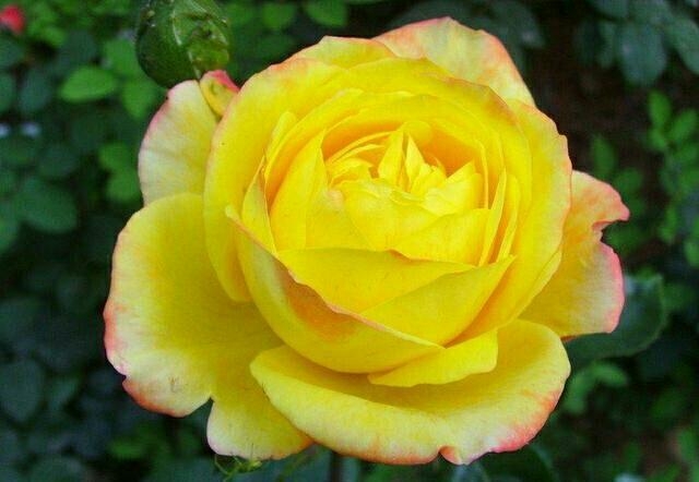 人要吃得苦中苦方为人上人,吃得苦中苦方为人上人的人