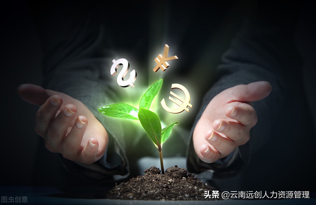 大学生种地补贴政策2021标准,大学生就业补贴政策2021标准