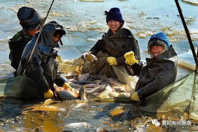 曹妃甸的新传说,渤海湾曹妃甸的魅力
