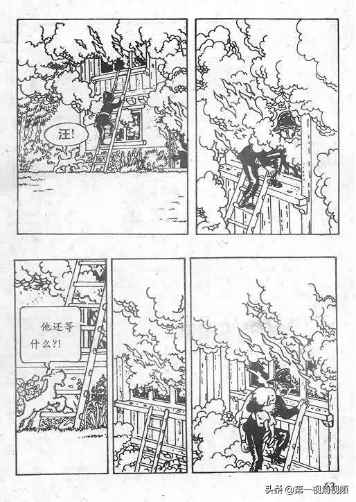 丁丁历险记刚果完整版,丁丁历险记西藏