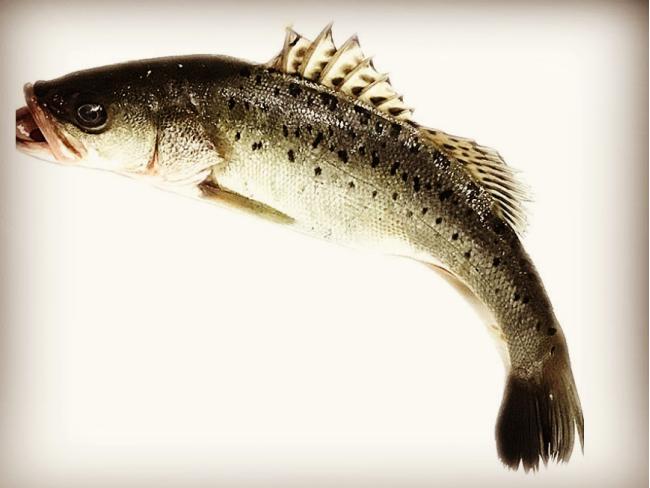 他是三国中的第一猛将,三国时期一个神仙调戏曹操