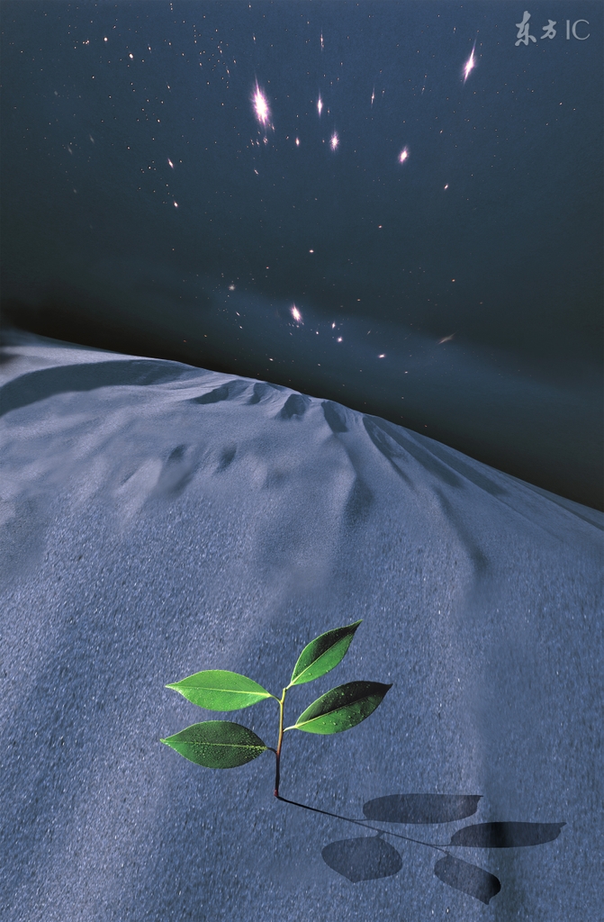 丧尸爆发只有刀没有枪怎么办,丧尸如何自救小说