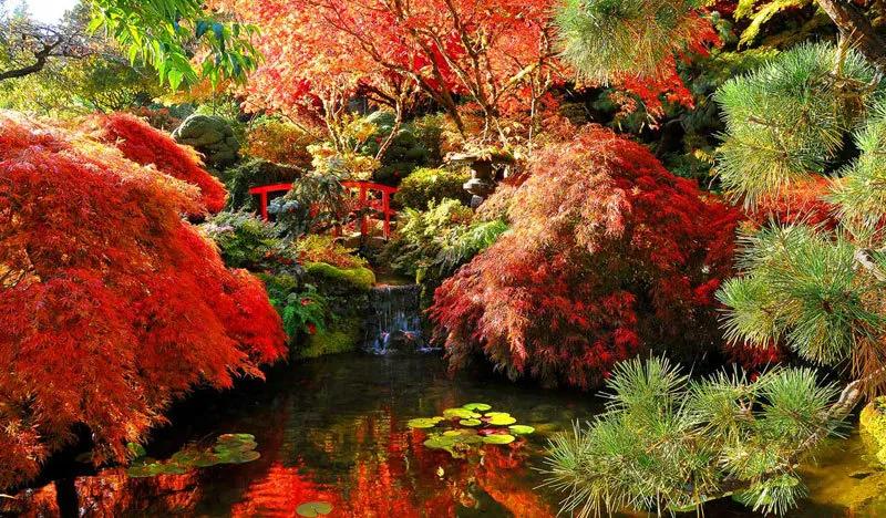 这15座花园勾勒最美的人间