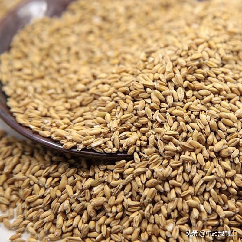 中药炮制去杂质的方法,中药材清洗流程