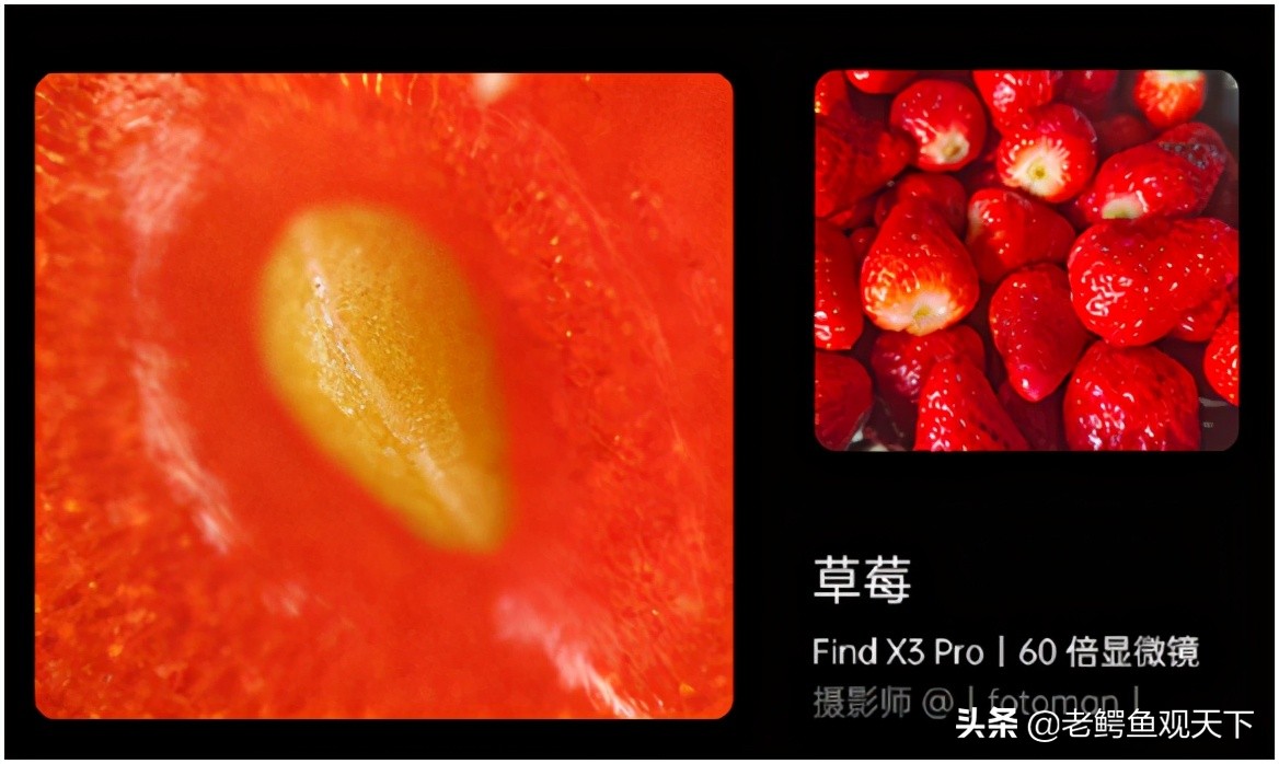 李永乐我为什么要当老师,李永乐老师是个什么样的人