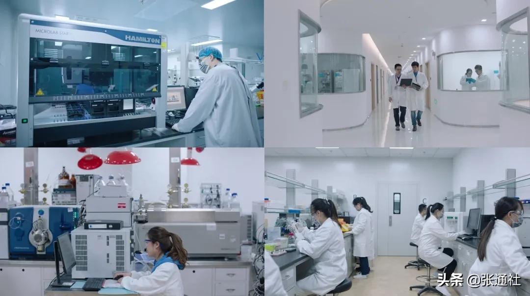 老牌CRO的强势布局升级——一位17年老员工眼中的上海睿智