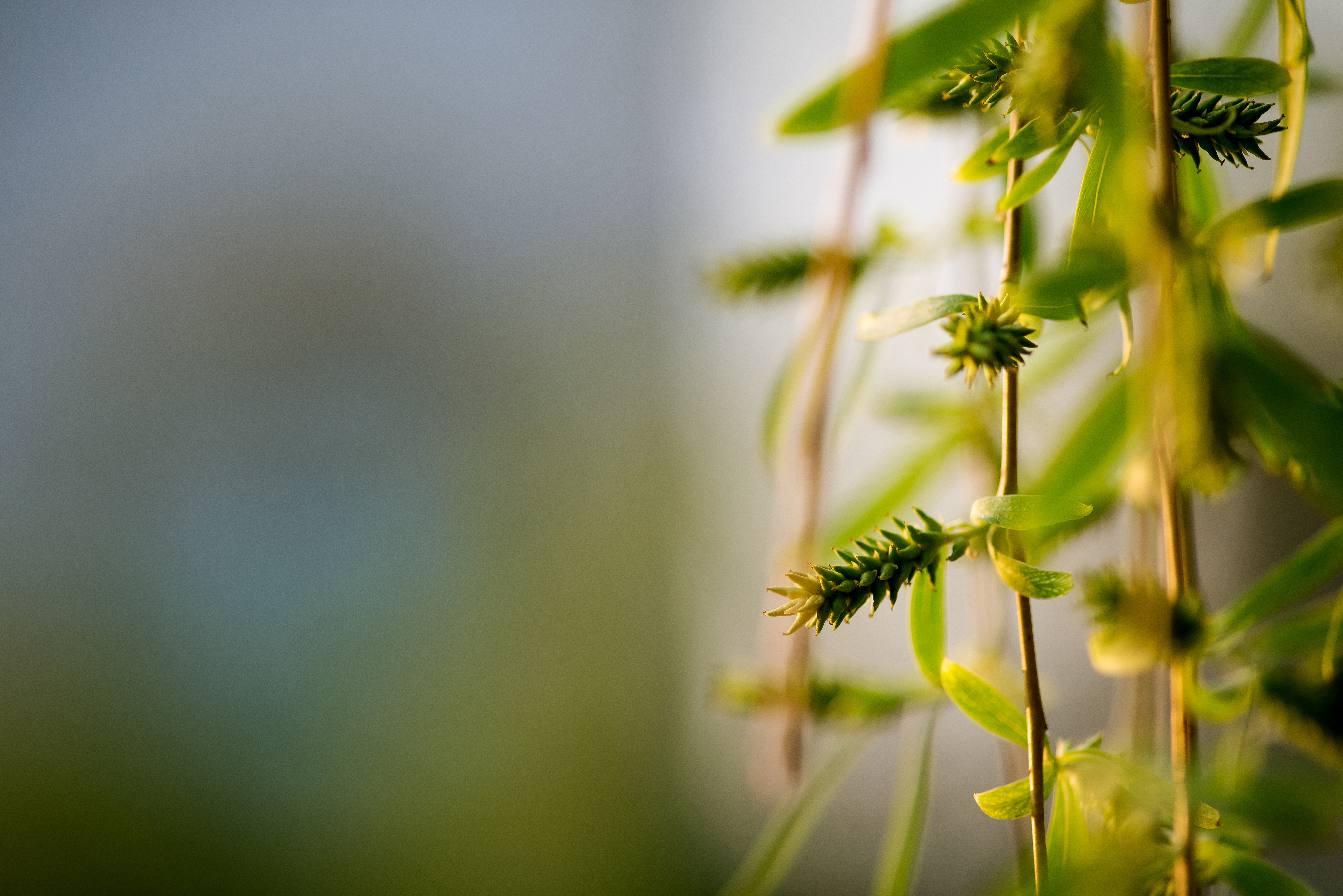 我与摄影的这些年,我和摄影的感悟