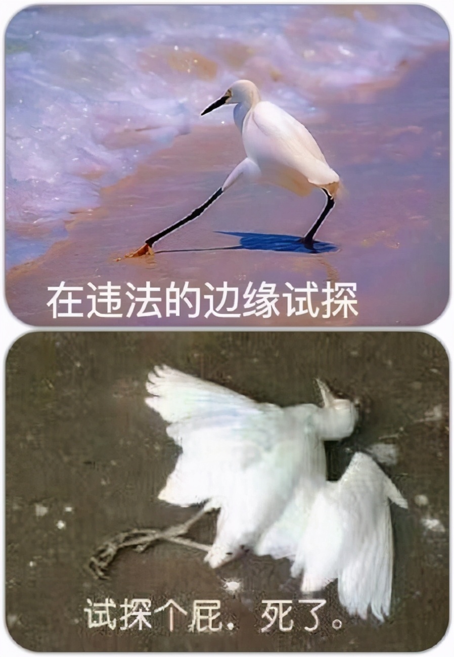 哪些行为会拘留15天,轻则拘留如何处理