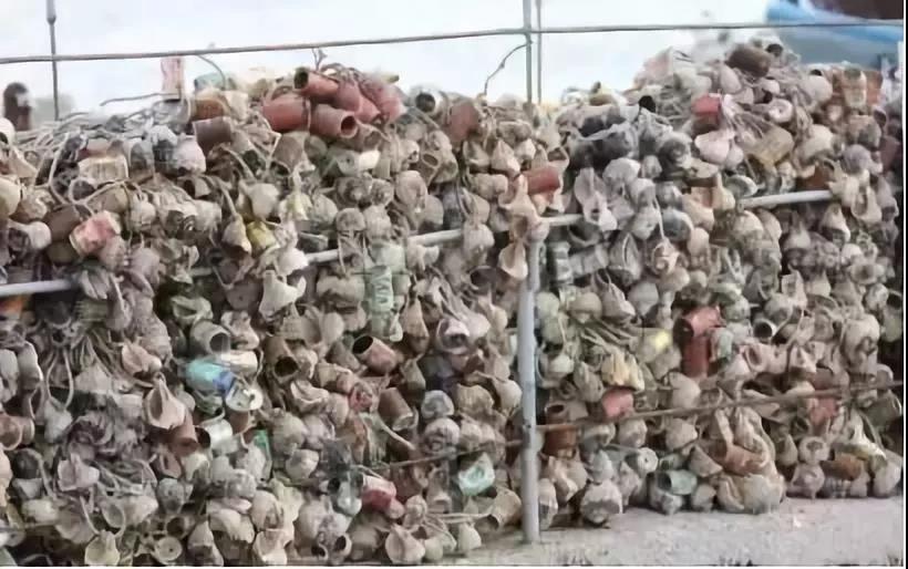 赶海吃各种爆辣的海鲜,好嗨哟赶海抓海鲜