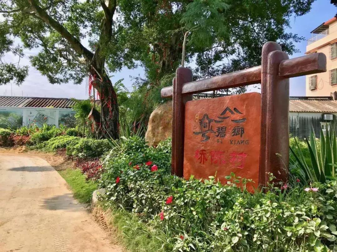 碧桂园精准扶贫宣传片,新华社点赞碧桂园产业扶贫模式