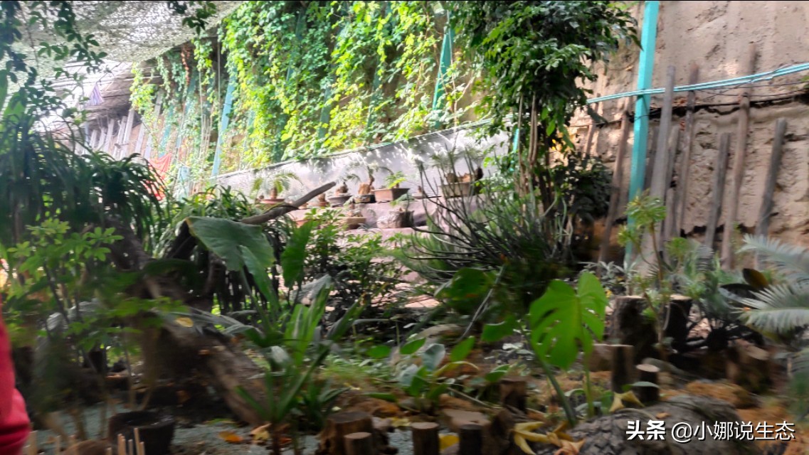 美如画的农场,美如画的生态园