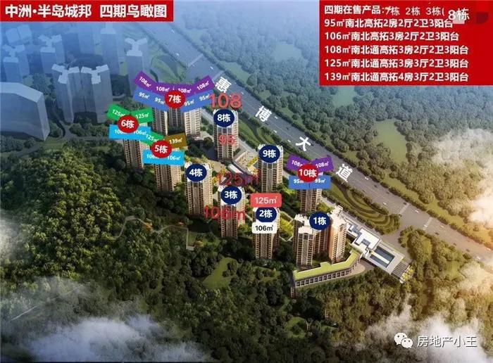 惠州中洲半岛城邦110平方,惠州中洲半岛城邦