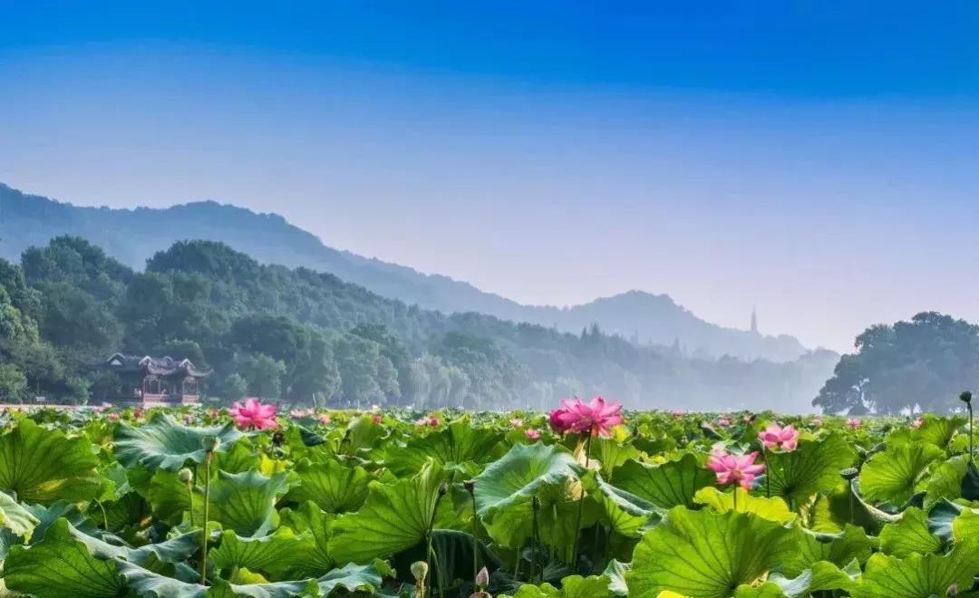 12月份白菜价格,昆明去各地的特价机票有哪些