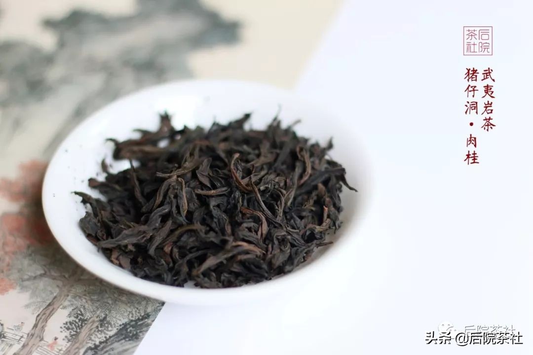 姝﹀し宀╄尪娴撻鍨嬪ぇ绾㈣鑲夋,姝ｅ畻姝﹀し宀╄尪澶х孩琚嶈倝妗傛祿棣欏瀷