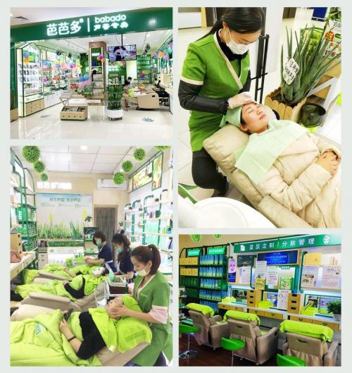 科研突破硕果累累,科研创新呈现新气象