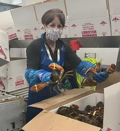 加拿大龙虾怎么处理,冷冻食品龙虾