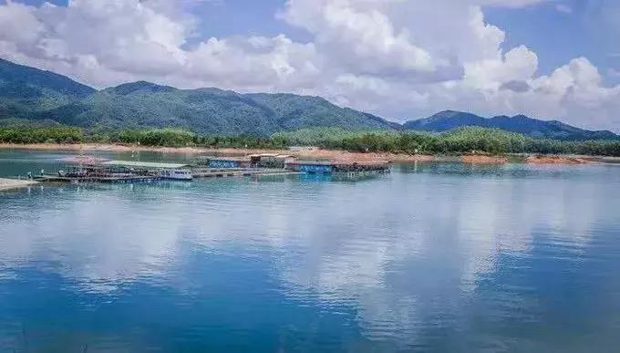 河源万绿湖特色,万绿湖别样的美