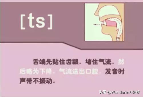 英语48个音标发音附详细图解,音标发音48个正确发音讲解视频