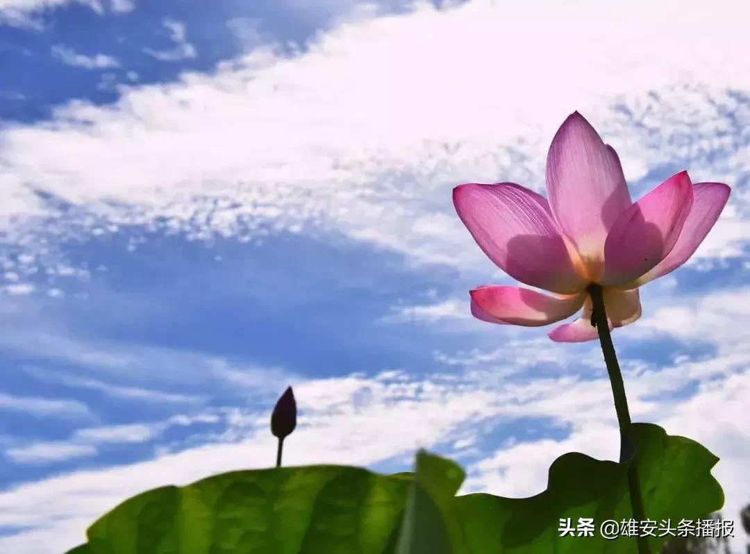 雄安值得一去吗,雄安最值得去的地方