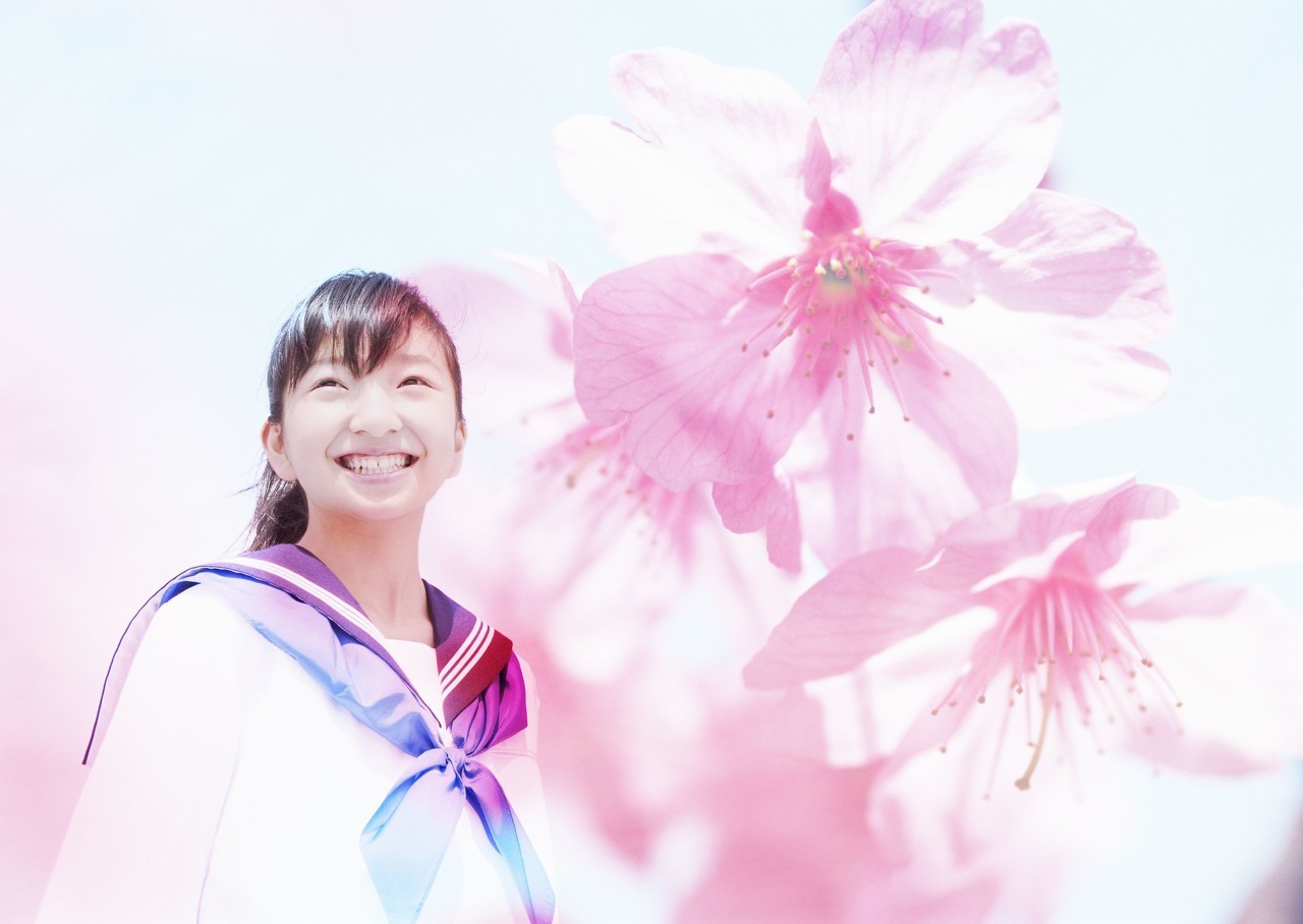 初三特训,中考冲刺特训班数学