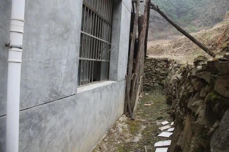 三代人背碳攒下的金疙瘩、银元被盗，西安蓝田警方破案