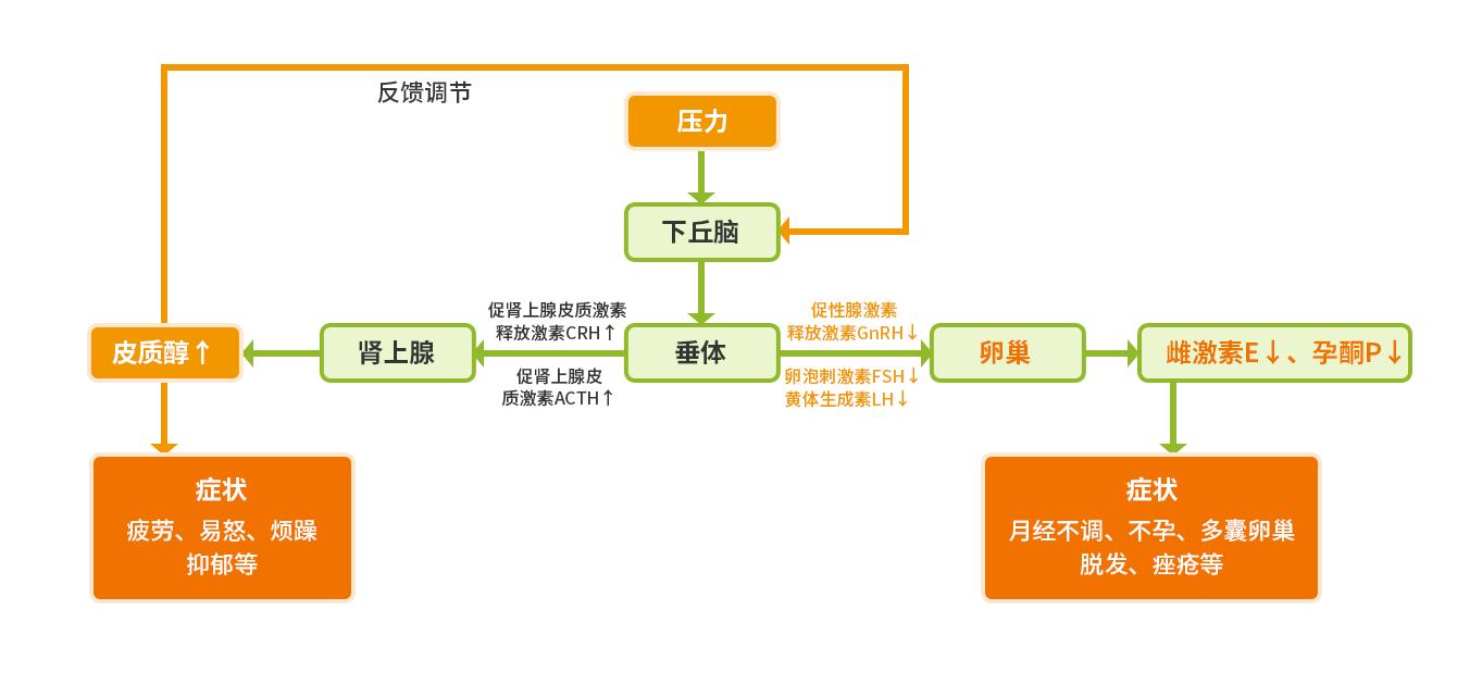 维持月经激素药,靠激素药维持月经几年了