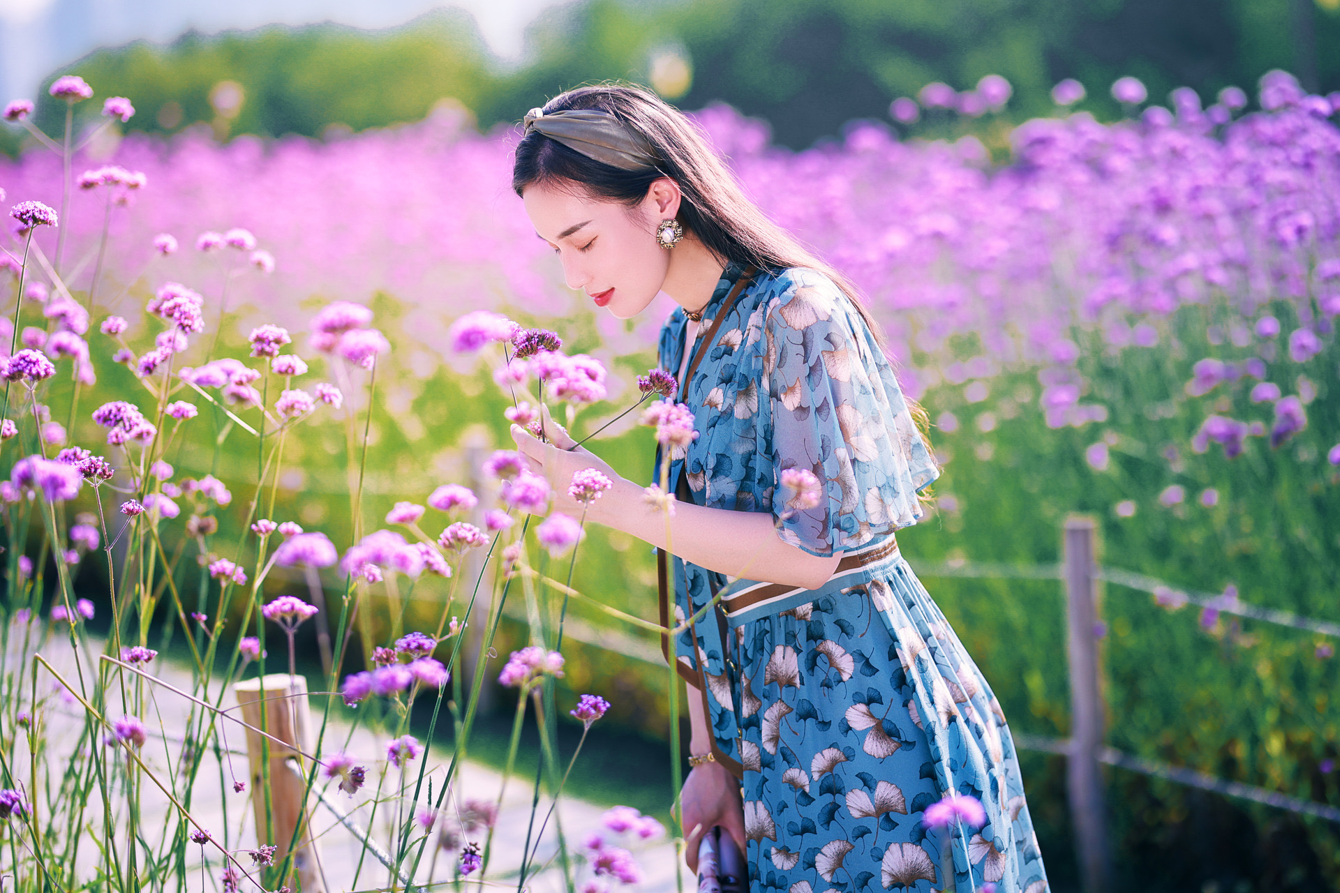 拍马鞭草与人摄影技巧,马鞭花怎么拍出大片