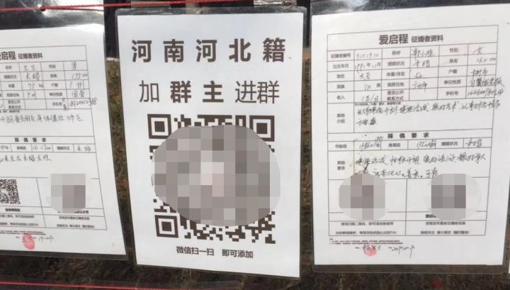 在相亲角逛了一圈,我们差点脱不开身