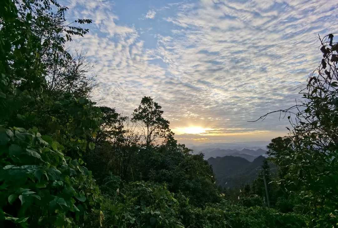 乙肝携带者阻断母婴传播,如何更好地阻断三病母婴传播