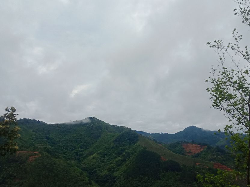 中国人民武装警察部队森林消防,武装森林警察部队